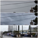 雨…【たまの日記】