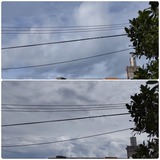 昨日同様…【たまの日記】