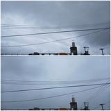 朝…【たまの日記】