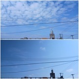 昨日…【たまの日記】