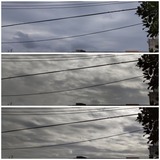 昨日…【たまの日記】