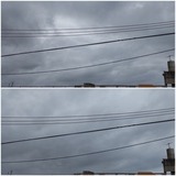 昨日…【たまの日記】