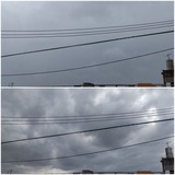 雨…【たまの日記】