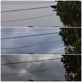 大雨洪水…【たまの日記】