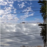 お昼頃…【たまの日記】