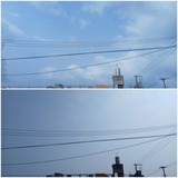 雲…【たまの日記】