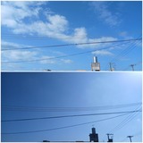 朝…【たまの日記】