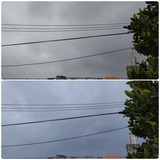降ったり…【たまの日記】
