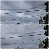 雨…【たまの日記】