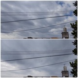 雨が…【たまの日記】
