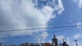 今日…【たまの日記】