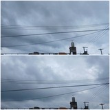 昨日…【たまの日記】