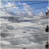 午前中…【たまの日記】