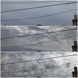 お昼頃…【たまの日記】