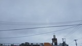 1時間…【たまの日記】