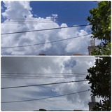 青空…【たまの日記】