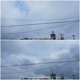 朝早く…【たまの日記】