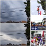 午前中…【たまの日記】