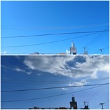 今日…【たまの日記】