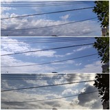 画像…【たまの日記】