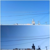 一日中…【たまの日記】