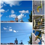 23.09.24 º£Æü¤Î¶õ¤È¥É¥é¥Õ¥ëºÆ¤Ó¡©