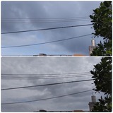 今日…【たまの日記】