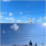 今日…【たまの日記】