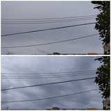 雨…【たまの日記】