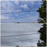 昨日…【たまの日記】