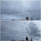 雨…【たまの日記】