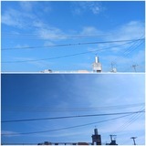 予報…【たまの日記】