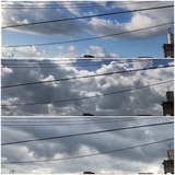 昨日…【たまの日記】