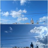 水曜日…【たまの日記】