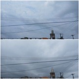 朝から…【たまの日記】