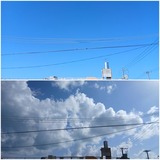 お昼…【たまの日記】