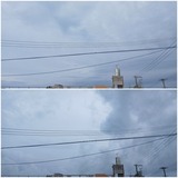 朝…【たまの日記】