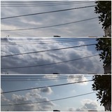 雲…【たまの日記】