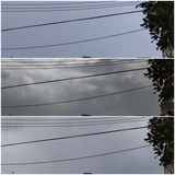 変化…【たまの日記】