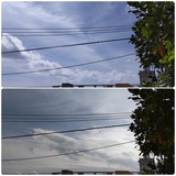 一日中…【たまの日記】