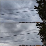 空…【たまの日記】