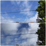 雲が…【たまの日記】