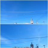 雲…【たまの日記】