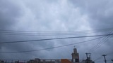 後片付け…【たまの日記】