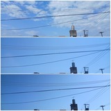 多め…【たまの日記】