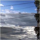 お昼頃…【たまの日記】