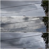 陽射し…【たまの日記】