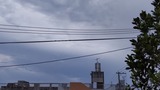 一日中…【たまの日記】