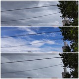 午前中…【たまの日記】