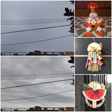 午前中…【たまの日記】